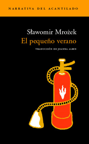 Cubierta del libro El pequeño verano