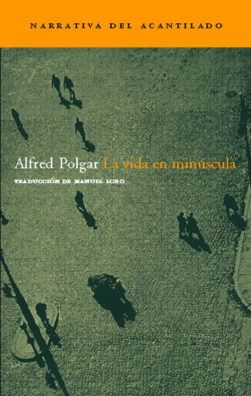 Cubierta del libro La vida en minúscula