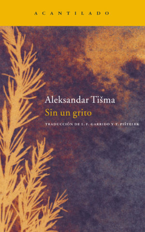 Cubierta del libro Sin un grito